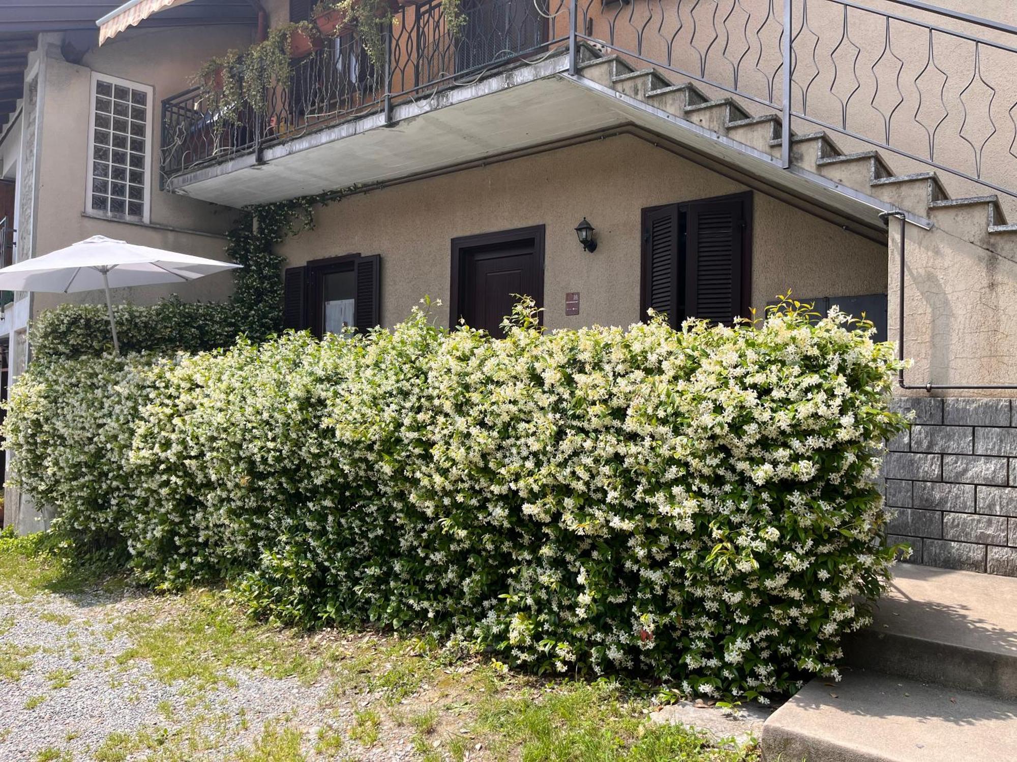 Il Cortile Como Single & Double Room In Apartment No Hotel Exterior photo